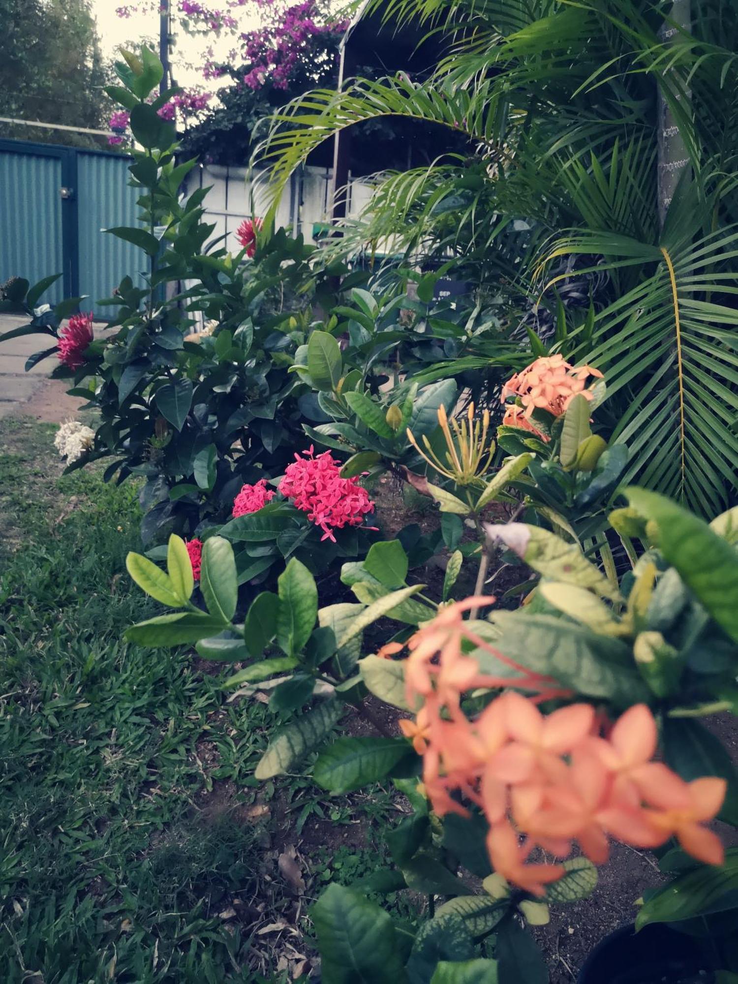 Lagoon Dream Moorea Zewnętrze zdjęcie