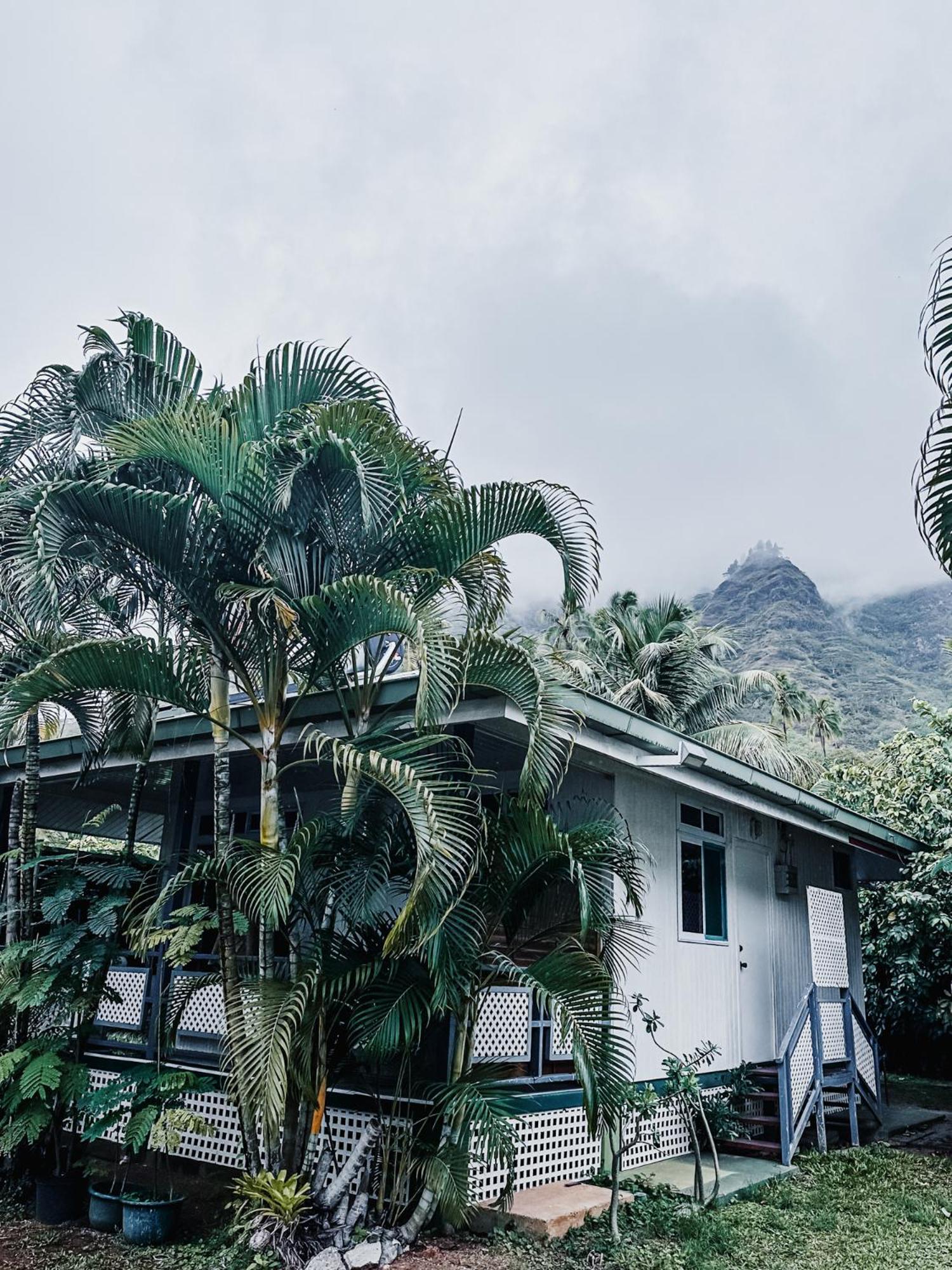 Lagoon Dream Moorea Zewnętrze zdjęcie