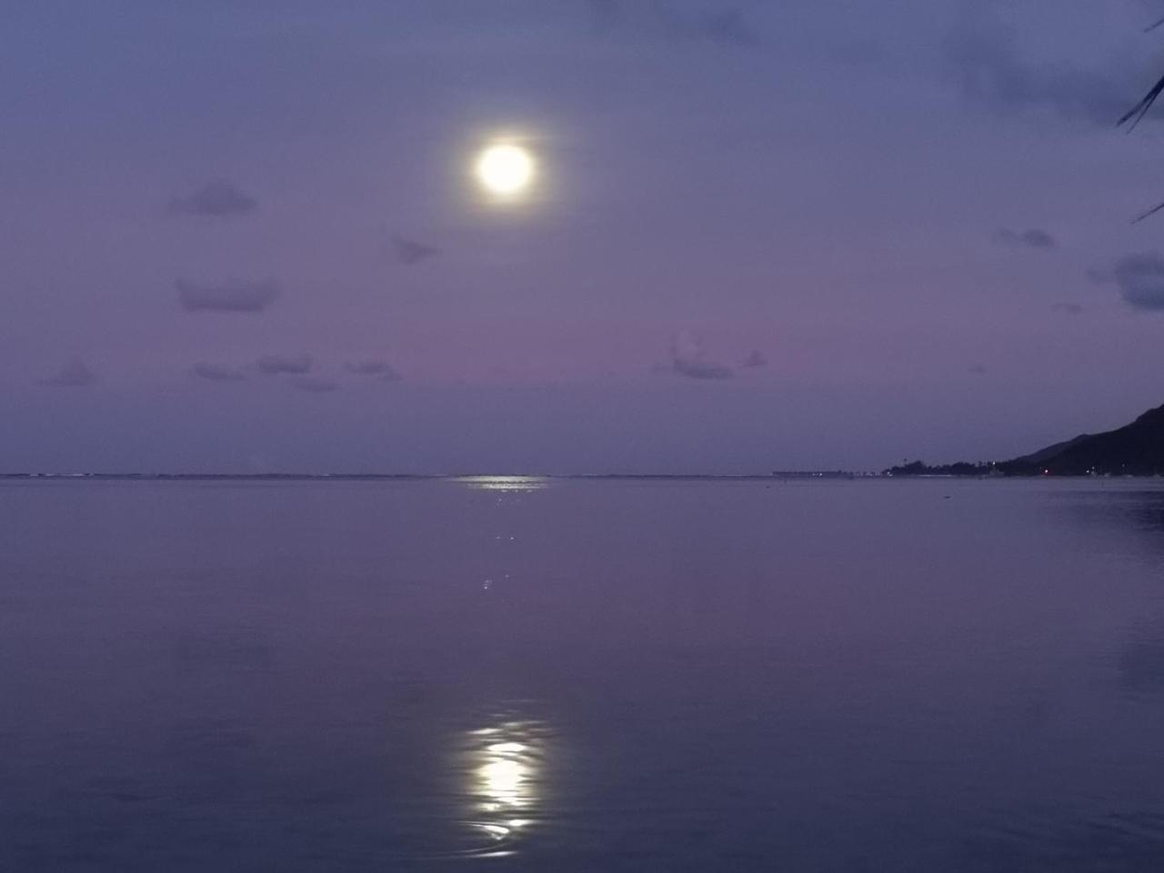 Lagoon Dream Moorea Zewnętrze zdjęcie